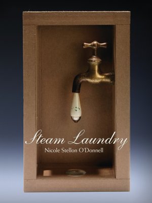 cover image of Steam Laundry